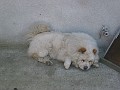 20040418_ 034